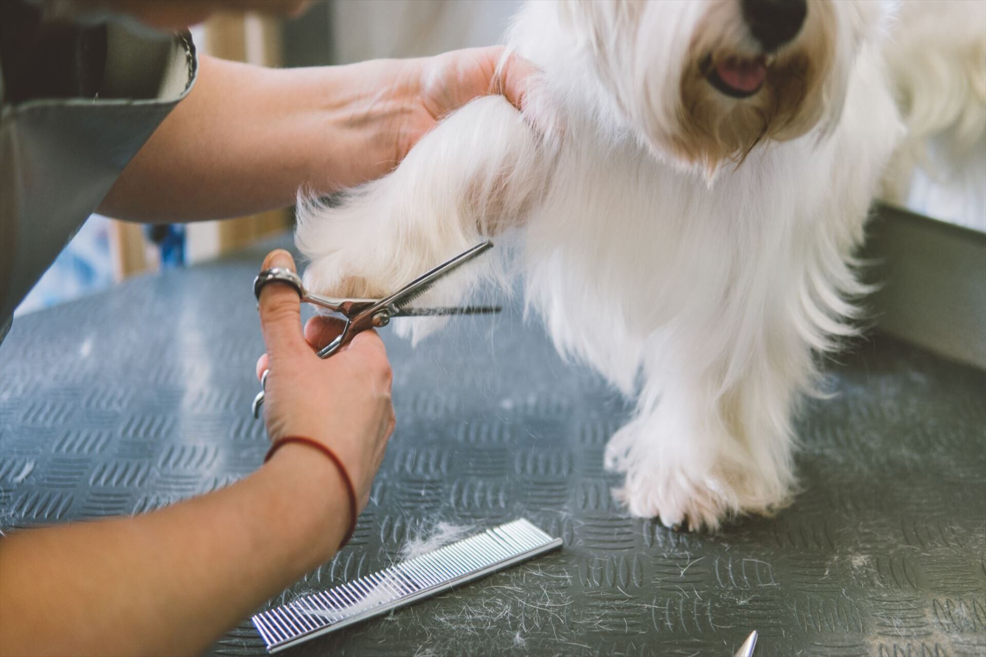 AdobeStock_142634087